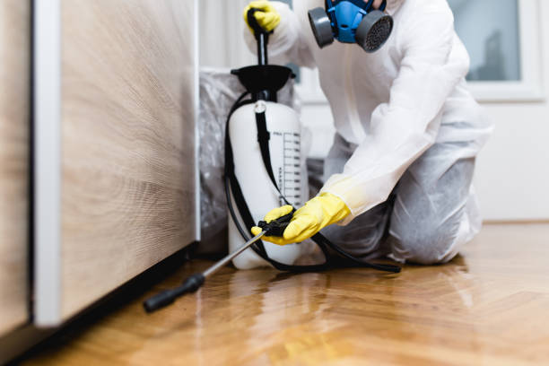 Best Best Pest Control Companies  in Kensett, AR