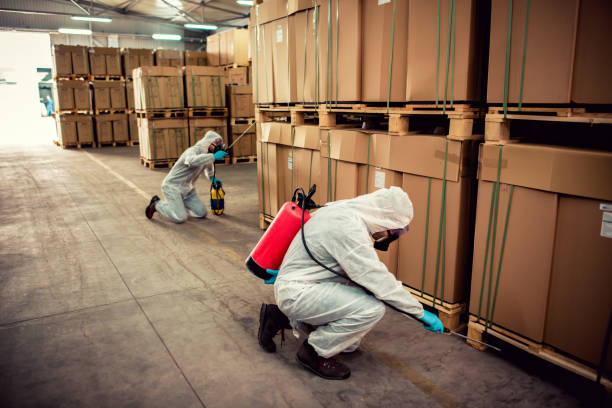 Best Pest Inspection Near Me  in Kensett, AR