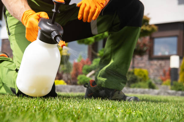 Best Termite Control Services  in Kensett, AR
