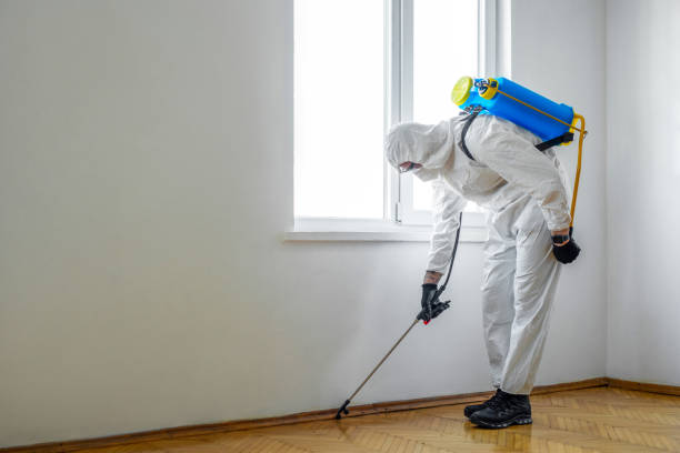 Best Cockroach Control Services  in Kensett, AR