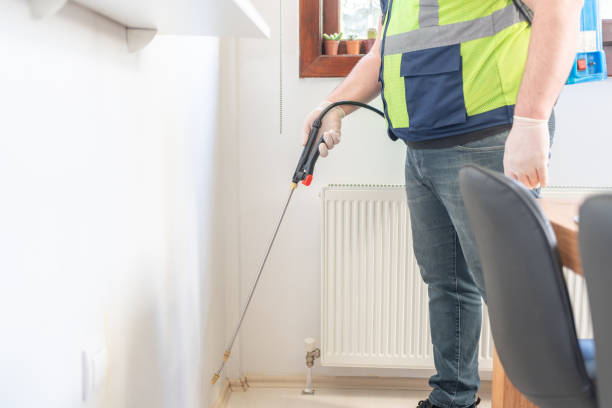 Best Ant Control Services  in Kensett, AR