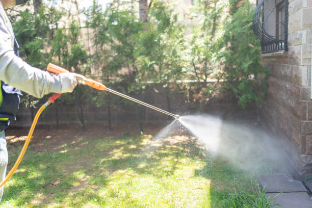 Best Exterminator Services  in Kensett, AR