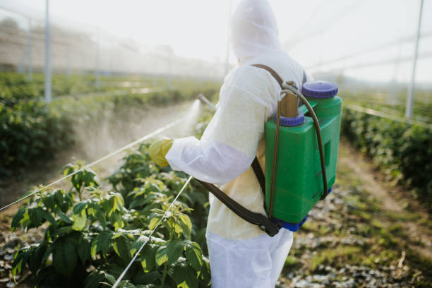 Best Residential Pest Control  in Kensett, AR